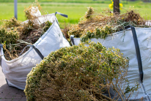 Best Commercial Cleanout Services  in Addison, WV